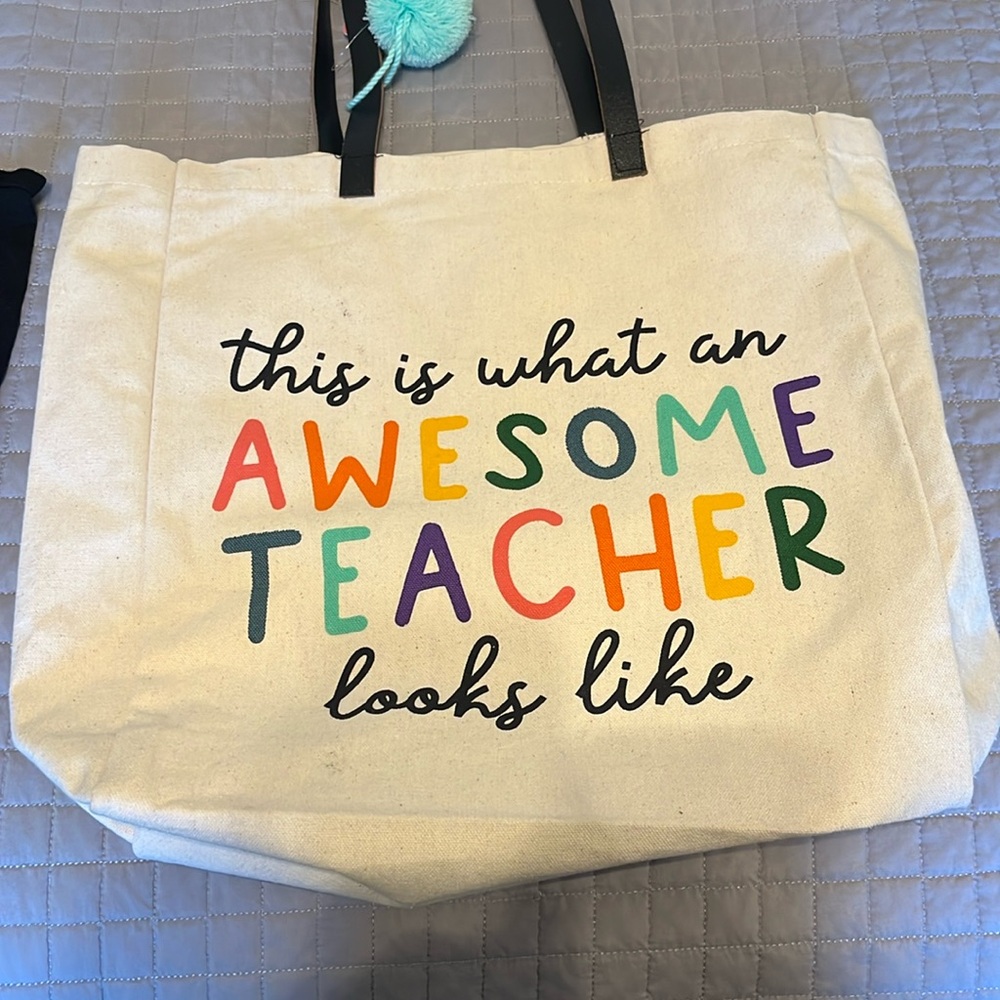 Awesome teacher bag